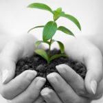 Achieving sustainability in business; the how and why