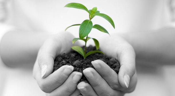 Achieving sustainability in business; the how and why