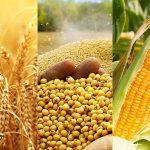Understanding how to trade agriculture commodities like stocks using ComX