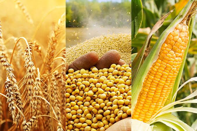 Understanding how to trade agriculture commodities like stocks using ComX