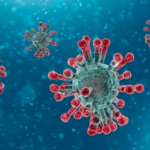 coronavirus