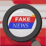 Online disinformation and the African firm (3)