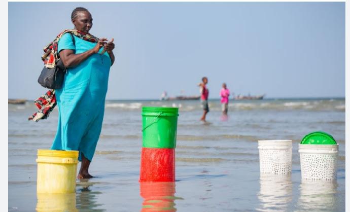 Nigeria grows mobile money accounts despite delay of PSB licences