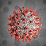 Pandemic puts countries’ resilience to the test