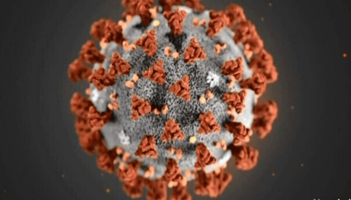 coronavirus