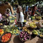 COVID-19: Strengthening West Africa’s fragile food ecosystems!