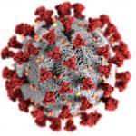 Repression as a tool for combating Covid-19: Nigeria in focus