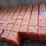 Poultry farmers hurting as lockdown hits demand for eggs, birds