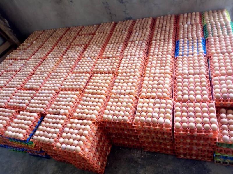 Poultry farmers hurting as lockdown hits demand for eggs, birds