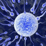 Parah Family Foundation postpones 3rd annual fertility conference over COVID-19