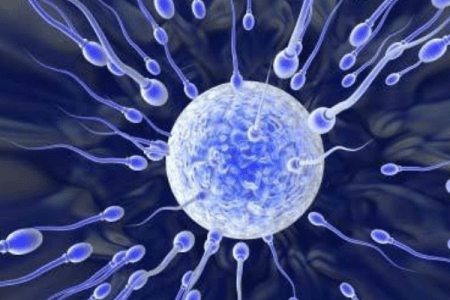 Parah Family Foundation postpones 3rd annual fertility conference over COVID-19