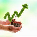 A business guide to surviving the coronavirus pandemic