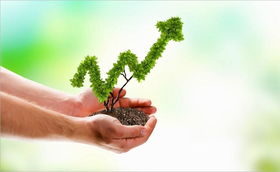 A business guide to surviving the coronavirus pandemic