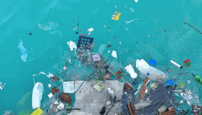 Maritime Administration and Safety Agency