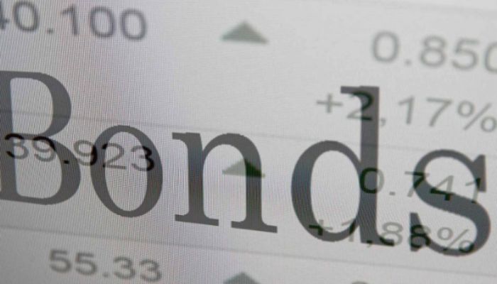 Nigeria's domestic dollar bond