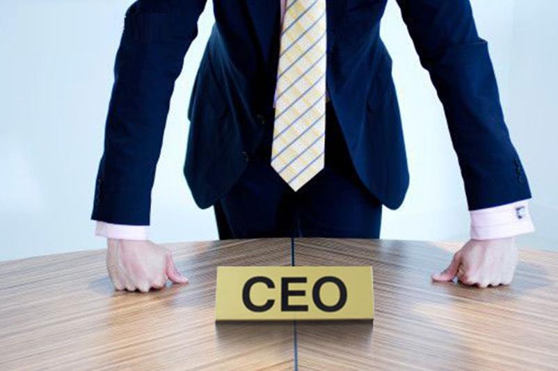 Supporting the CEO through a crisis