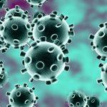 Ogun moves to benefit as World Bank offers N585bn agric-based stimulus against COVID-19