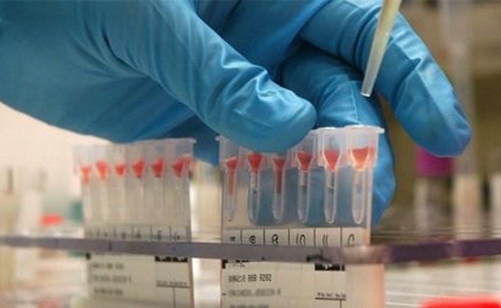 coronavirus vaccines