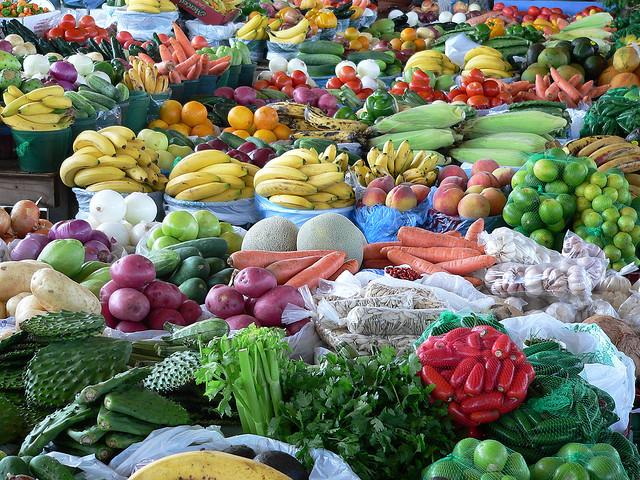World Bank commits $500m to deepen food security, protect livelihood in Africa