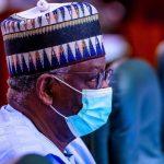 I would be loyal, dedicated to Buhari- Gambari