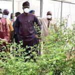 Oyo set to upgrade Akufo Farm to agricultural estate