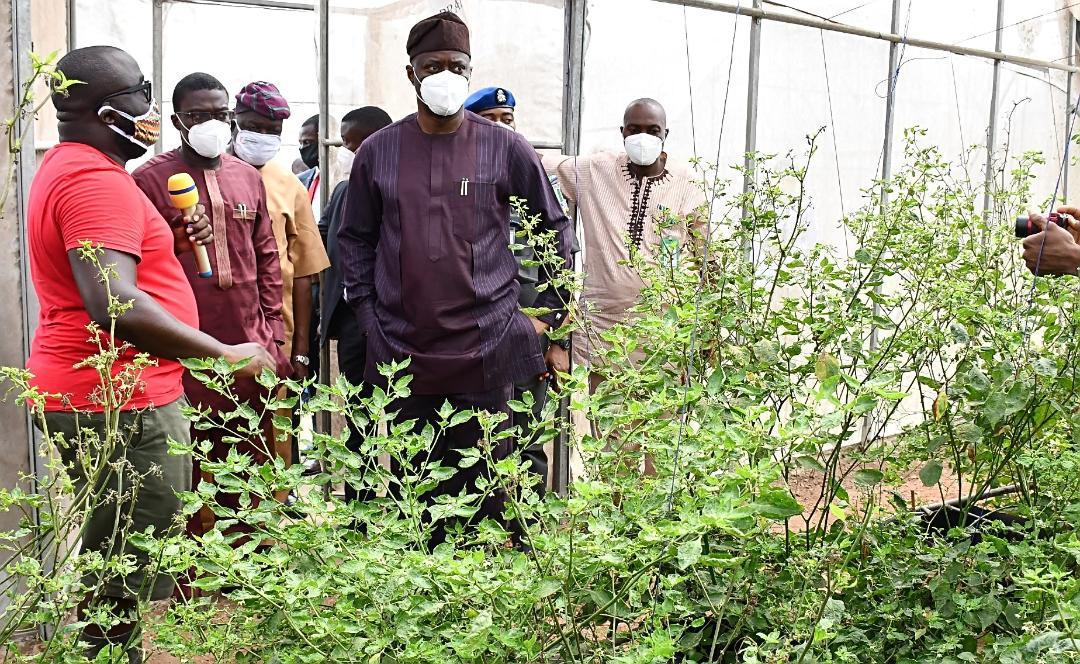 Oyo set to upgrade Akufo Farm to agricultural estate