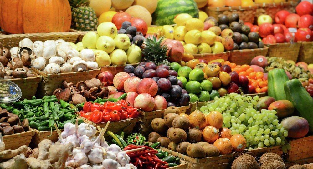 Agro exports