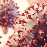 EGM says every trader on its platform contributed to Covid-19 support fund