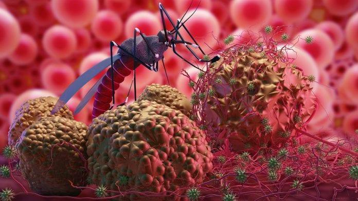 Preliminary investigation pins cause to resistant variant of malaria, typhoid upsurge