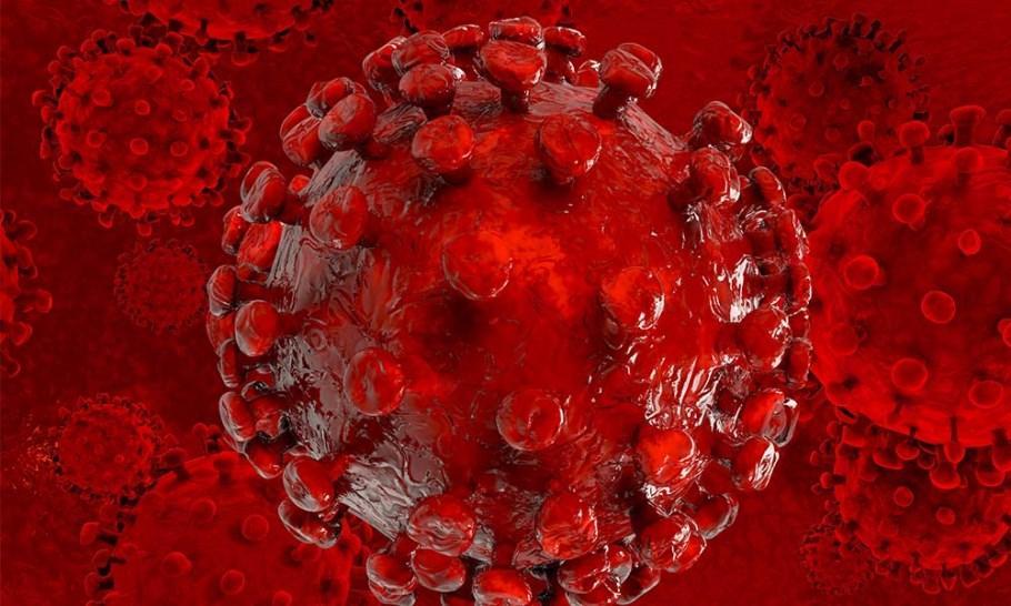 Employees’ productivity pivotal in push for remote work post coronavirus - Experts