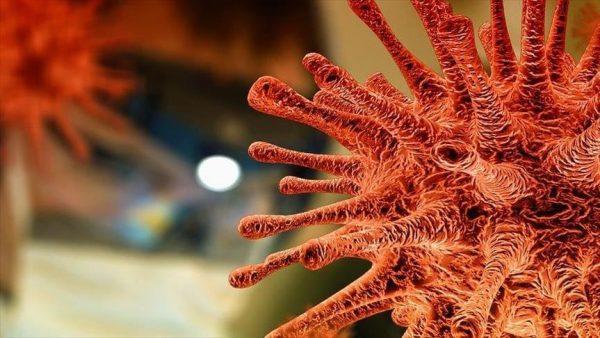 Curbing the covid-19 comeback in Europe