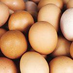 protein deficiency awareness