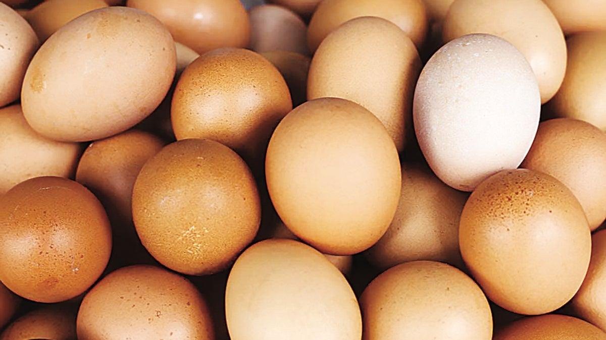 protein deficiency awareness