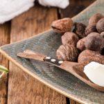 shea nut