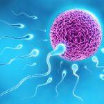 Don’t blame yourself you are struggling to conceive