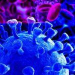 COVID-19: Bayelsa distributes another round of palliatives