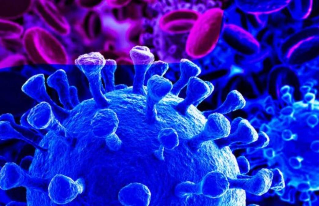 COVID-19: Bayelsa distributes another round of palliatives