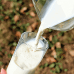 Milk Production