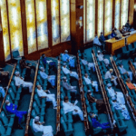 House of Representative