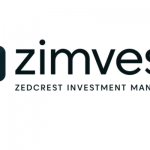Zimvest Economy Conversations: Financial Experts Call for Reorganization of Nigeria's Market Architecture