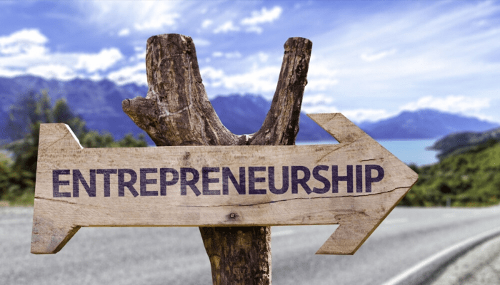 Trends in National Entrepreneurship Policies