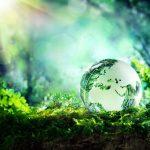 World Environment Day: Nigerians urged to take ownership of their environment
