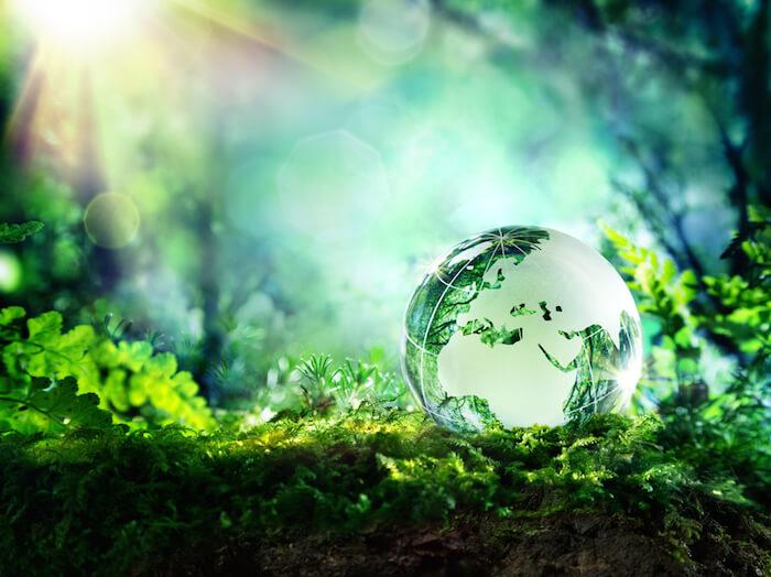 World Environment Day: Nigerians urged to take ownership of their environment