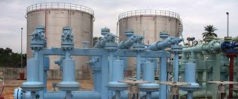 NDEP declares record dividend at 25th AGM