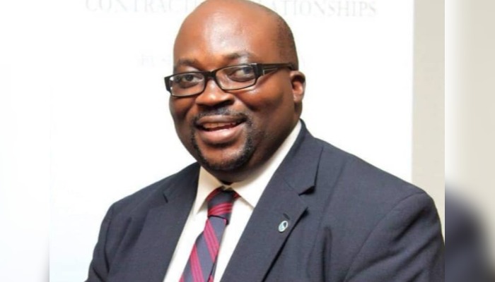 Nigeria to institutionalize PPP