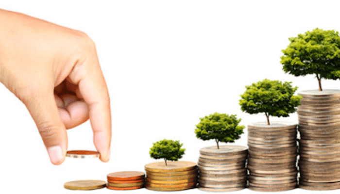 Monitoring Group out with its recommendations to strengthen international audit, ethics standard-setting system