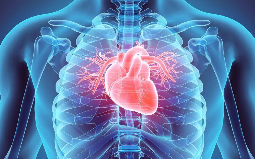 Cardiovascular disorders