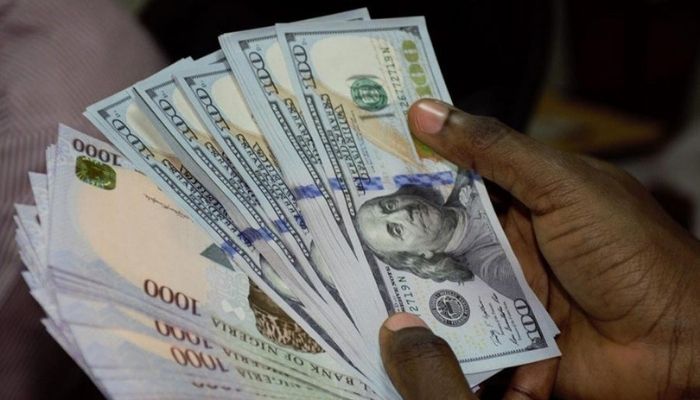 dollar and naira notes