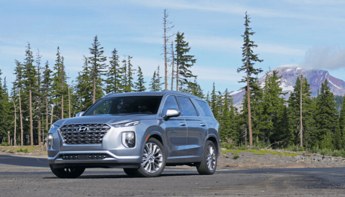 Hyundai’s luxury Palisade tackles segment rivals