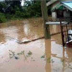 Extending kindness to yourself through insurance